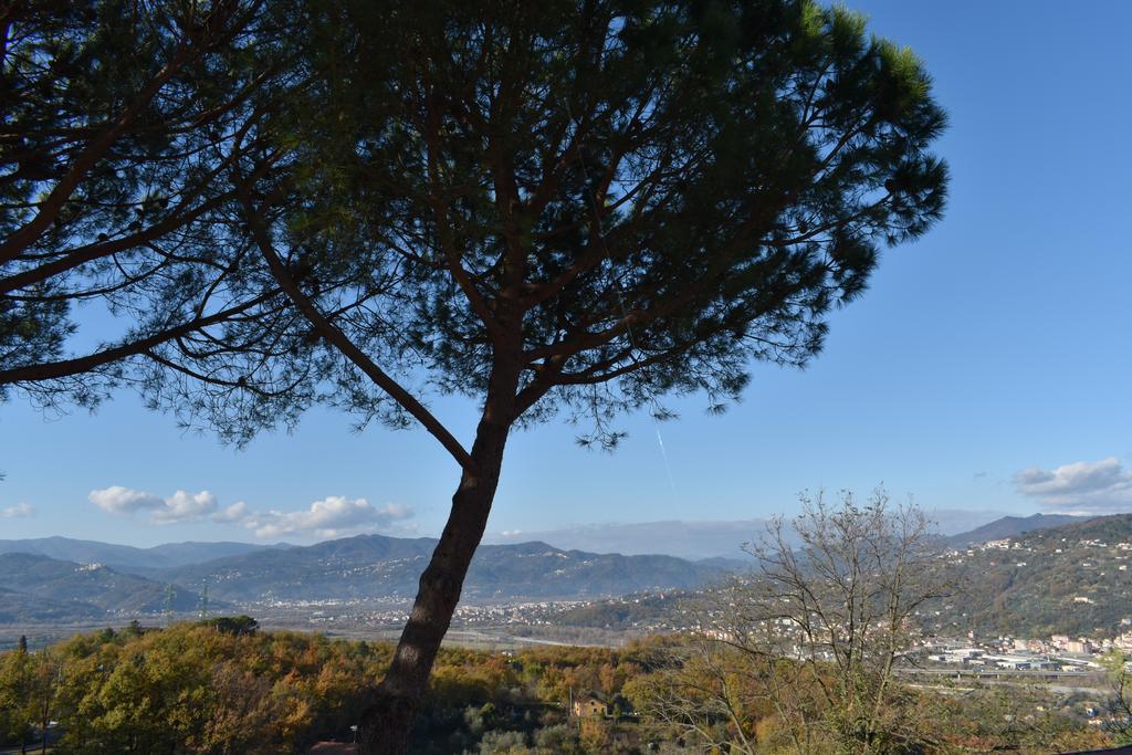 La Trigola Otel La Spezia Dış mekan fotoğraf