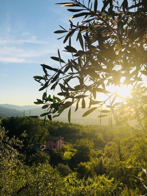La Trigola Otel La Spezia Dış mekan fotoğraf